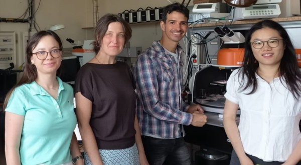 Researchers from POLITEHNICA and UNIZAR in secondment at CNRS, France